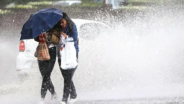 Van'da yağışlar çiftçilerin yüzünü güldürdü