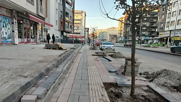 Van'da yenilenen kaldırımlara ağaç dikiliyor
