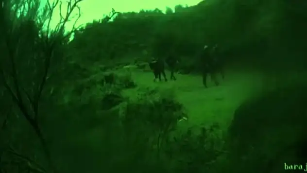 Van dahil 5 ilde KALKAN-18 operasyonu düzenlendi