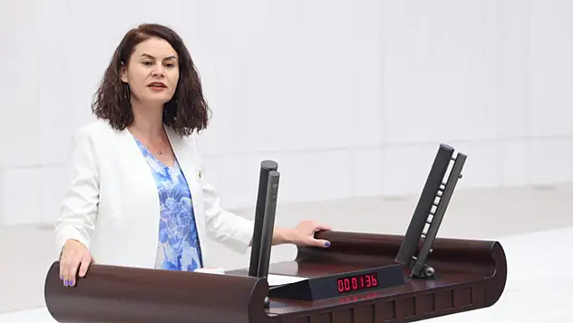 Van'daki okulların ısınma sorunu meclis gündeminde