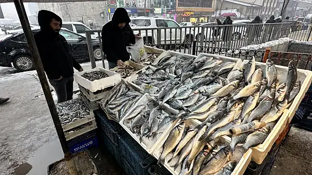 Van'dan getirilen balıklara Yüksekova'da yoğun ilgi