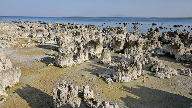 Van Gölü alarm veriyor