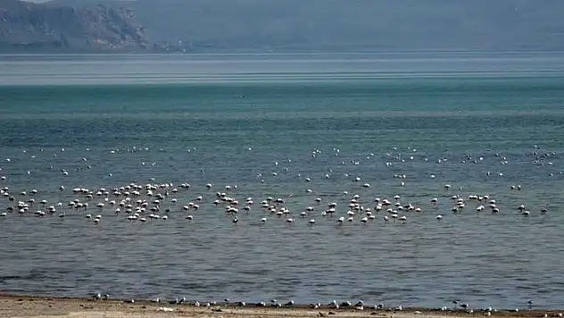 Van Gölü Havzası misafirlerini ağırlıyor