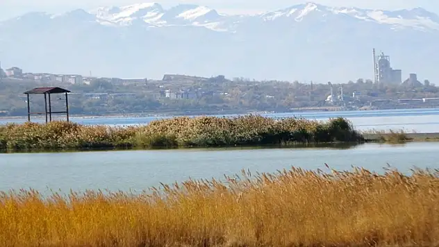 Van Gölü Havzası, Türkiye'nin en fazla sulak alanına ev sahipliği yapıyor