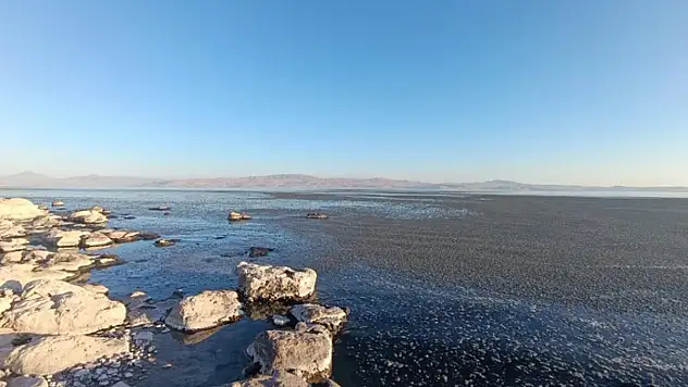 Van Gölü kıyısında yosun tabakası oluştu