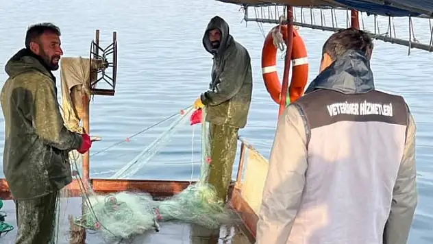 Van Gölü'nde balıkçılık denetimi yapıldı