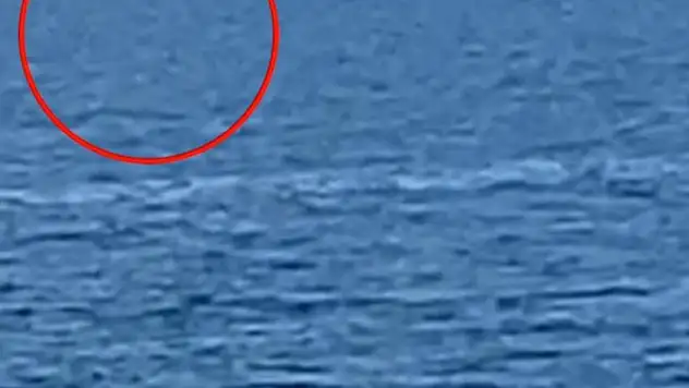 Van Gölü'nde Canavar Geri Döndü