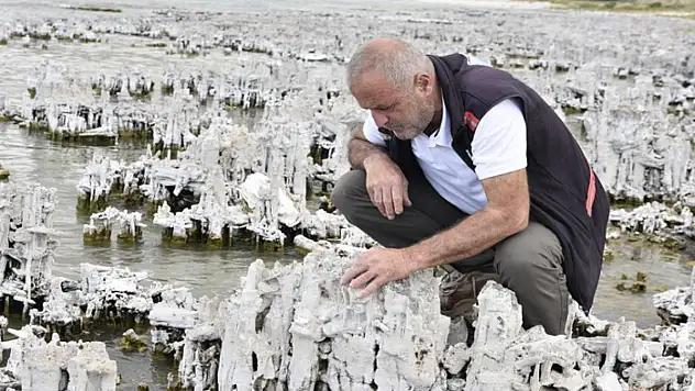 Van Gölü'nde şu ana kadarki en büyük mikrobiyalit görüntülendi