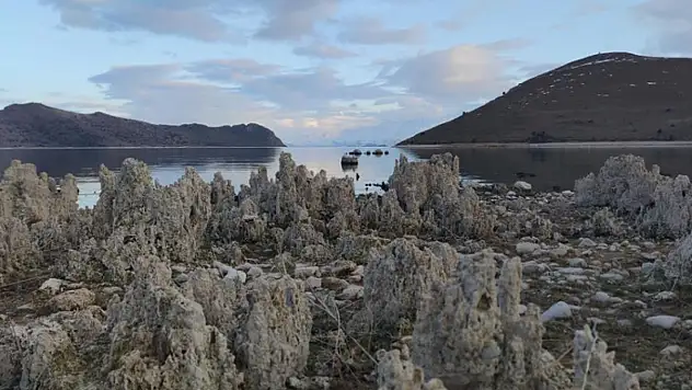 Van Gölü'nde su seviyesindeki düşüş korkutuyor