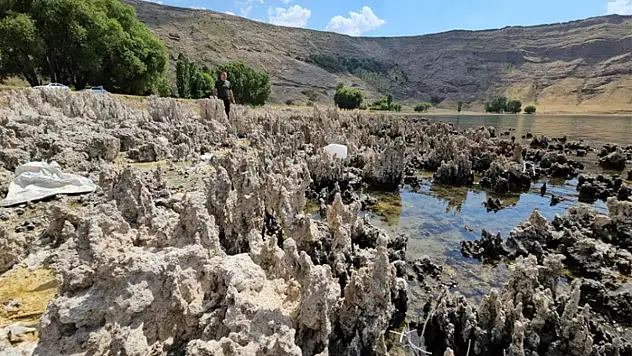 Van Gölü sahilleri mikrobiyalitlerle doldu