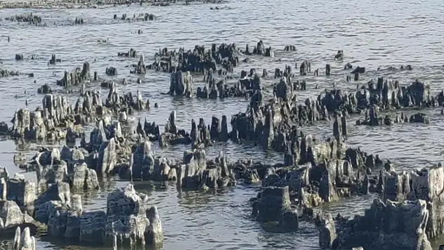 Van Gölü su kaybetmeye devam ediyor