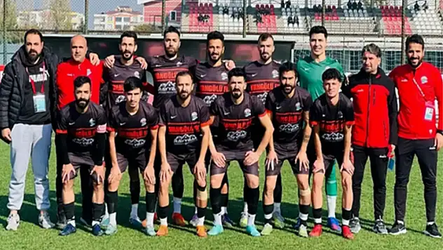 Van Gölüspor hükmen galip sayılacak