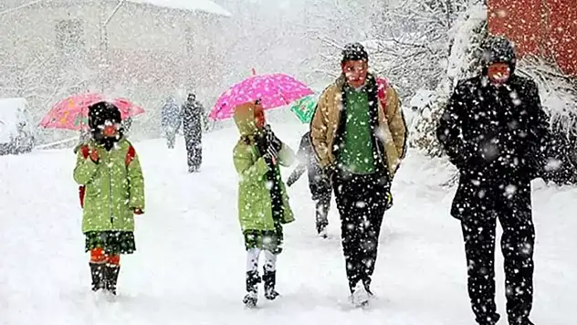 Van'ın ilçelerinde eğitime ara verildi