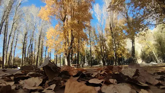 Van'ın sonbahar güzelliği
