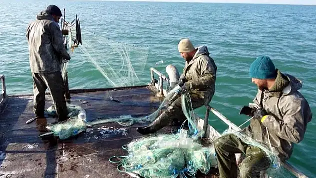 Van'lı balıkçılara müjdeli haber Destek başvuruları başladı