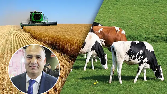 Van, Tarım Hayvancılık ve Gıda Fuarına hazırlanıyor