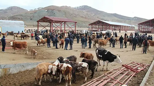 Van TDİ Besi OSB'nin temelleri atılıyor: Altyapı ihale tarihi belli oldu