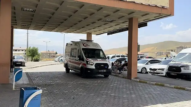 Van Yolunda Karşıya Geçmek İsteyen Adam Hayatını Kaybetti