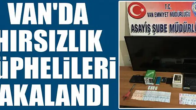 Van'da hırsızlık şüphelileri yakalandı