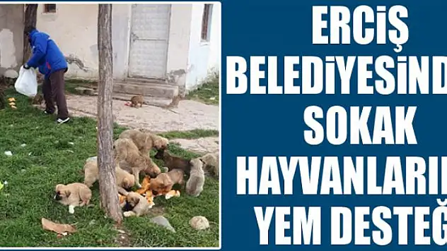 Erciş Belediyesinden sokak hayvanlarına yem desteği