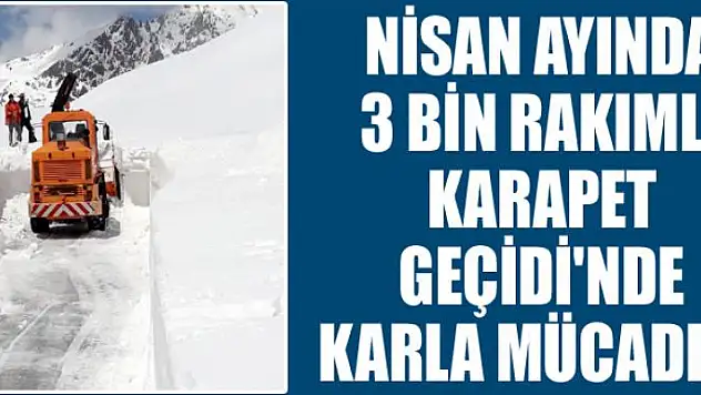 Nisan ayında 3 bin rakımlı Karapet Geçidi'nde karla mücadele