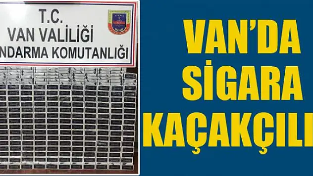 Van'da sigara kaçakçılığı
