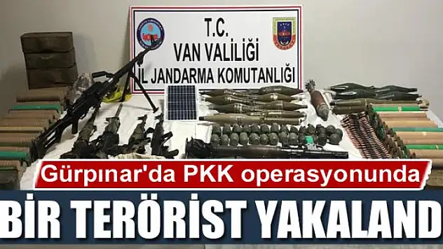Gürpınar'da PKK operasyonunda bir terörist yakalandı