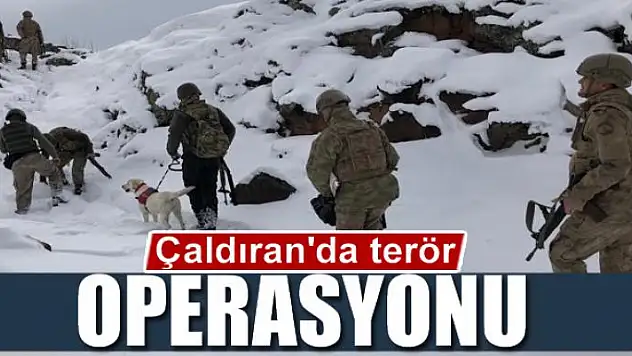 Çaldıran'da terör operasyonu