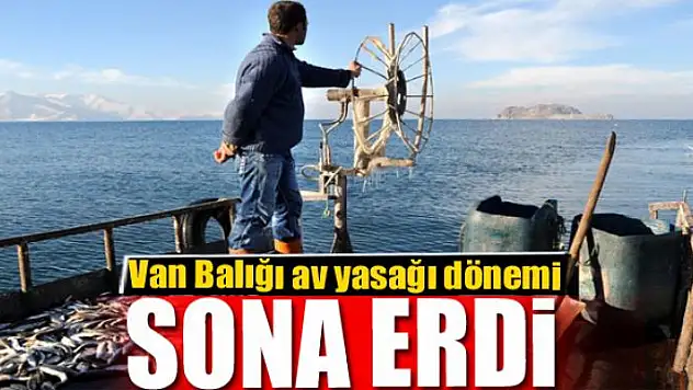 Van Balığı av yasağı dönemi sona erdi 