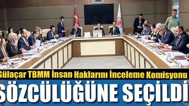 Gülaçar TBMM İnsan Haklarını İnceleme Komisyonu sözcülüğüne seçildi