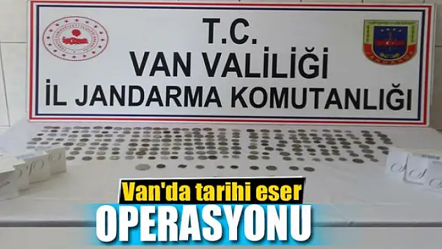 Van'da tarihi eser operasyonu