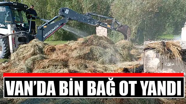 Van'da bin bağ ot yandı