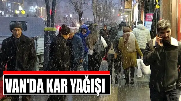Van'da kar yağışı