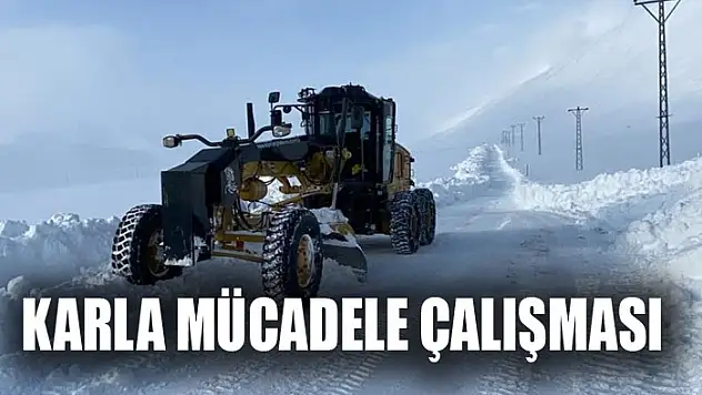 VAN'DA KARLA MÜCADELE ÇALIŞMASI