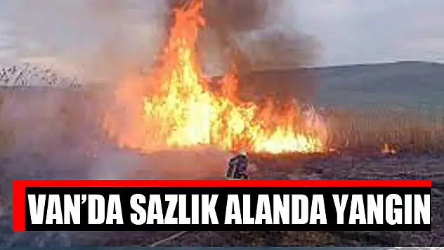 Van'da sazlık alanda yangın