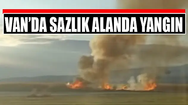 Van'da sazlık alanda yangın