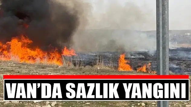 Van'da sazlık yangını