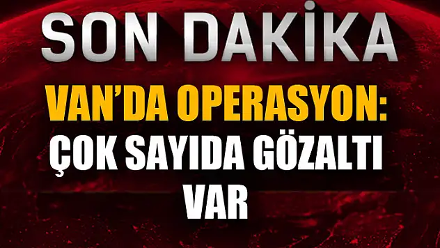 Van'da terör operasyonu: 24 gözaltı
