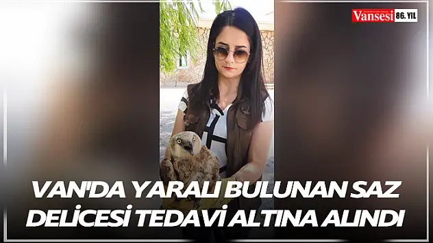 Van'da yaralı bulunan saz delicesi tedavi altına alındı