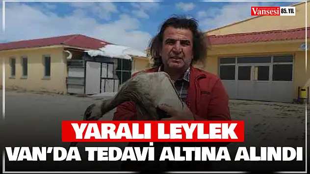 Van'da yaralı leylek tedavi altına alındı