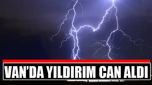 Van'da yıldırım can aldı