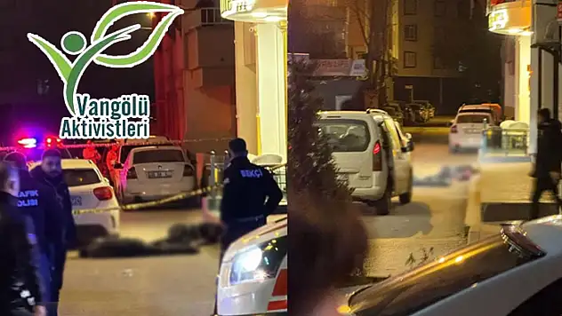 Vangölü Aktivistleri Derneği: Genç intiharları ve artan şiddet olayları hepimizi derinden etkiliyor