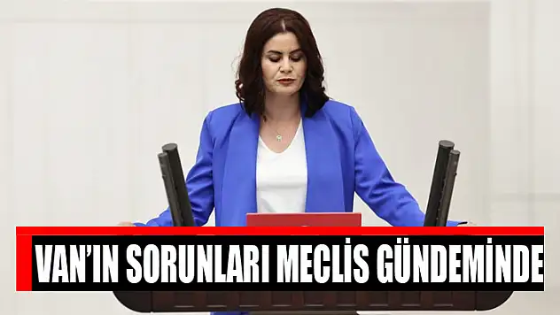 Van'ın sorunları meclis gündeminde