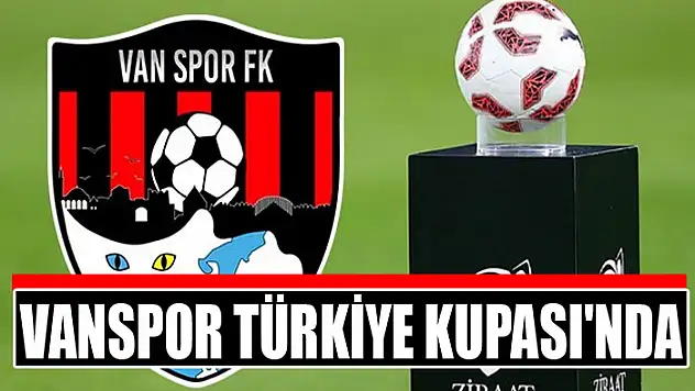 Vanspor Türkiye Kupası'nda