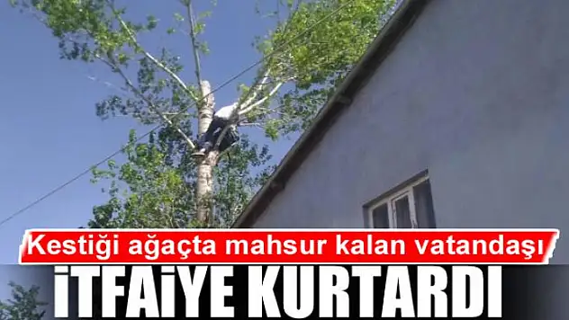 Kestiği ağaçta mahsur kalan vatandaşı itfaiye kurtardı