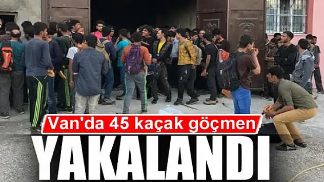 Van'da 45 kaçak göçmen yakalandı