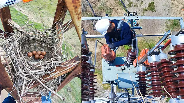 VEDAŞ ekiplerinin kuş yuvası hassasiyeti