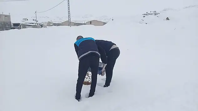 Yaban hayvanları için Erek Dağı eteklerinde yem bırakıldı