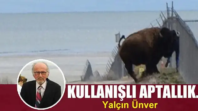 Kullanışlı aptallık…
