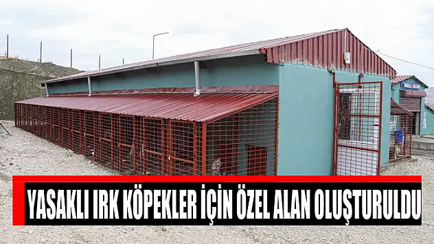 Yasaklı ırk köpekler için özel alan oluşturuldu
